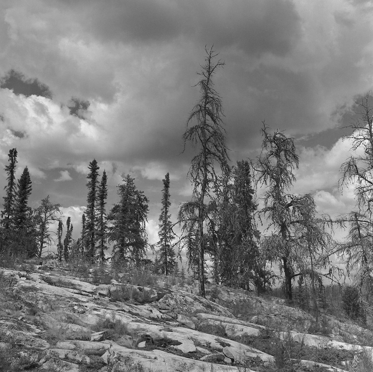 Cloudy day, Peterson Lake