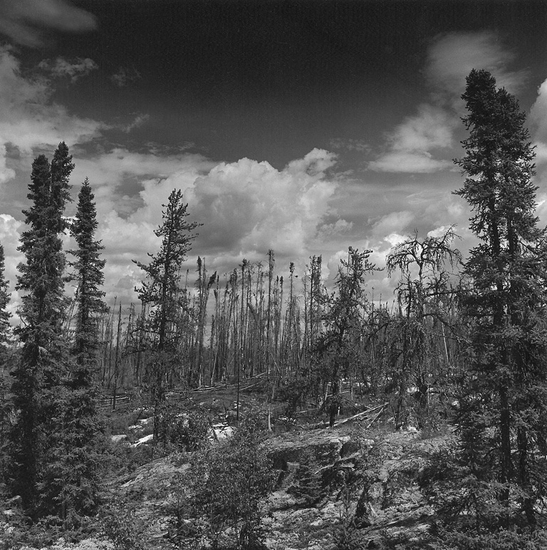 Wilderness, Peterson Lake