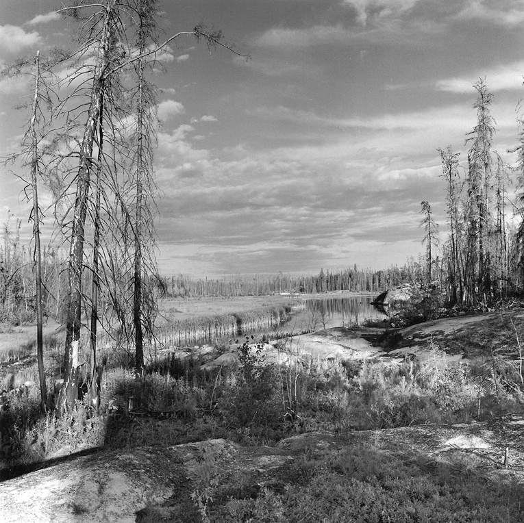 Creek, Peterson Lake