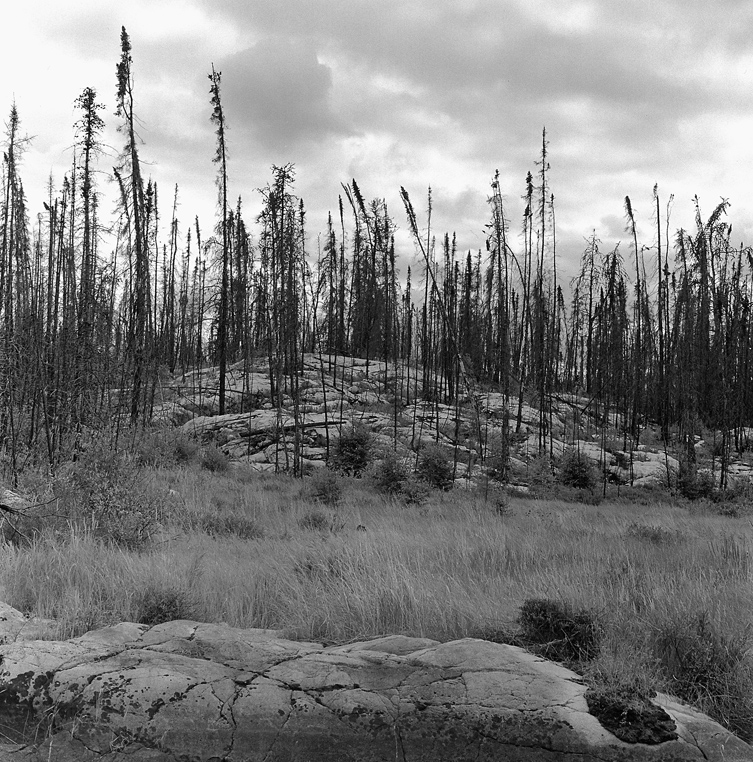 Outcropping, Peterson Lake