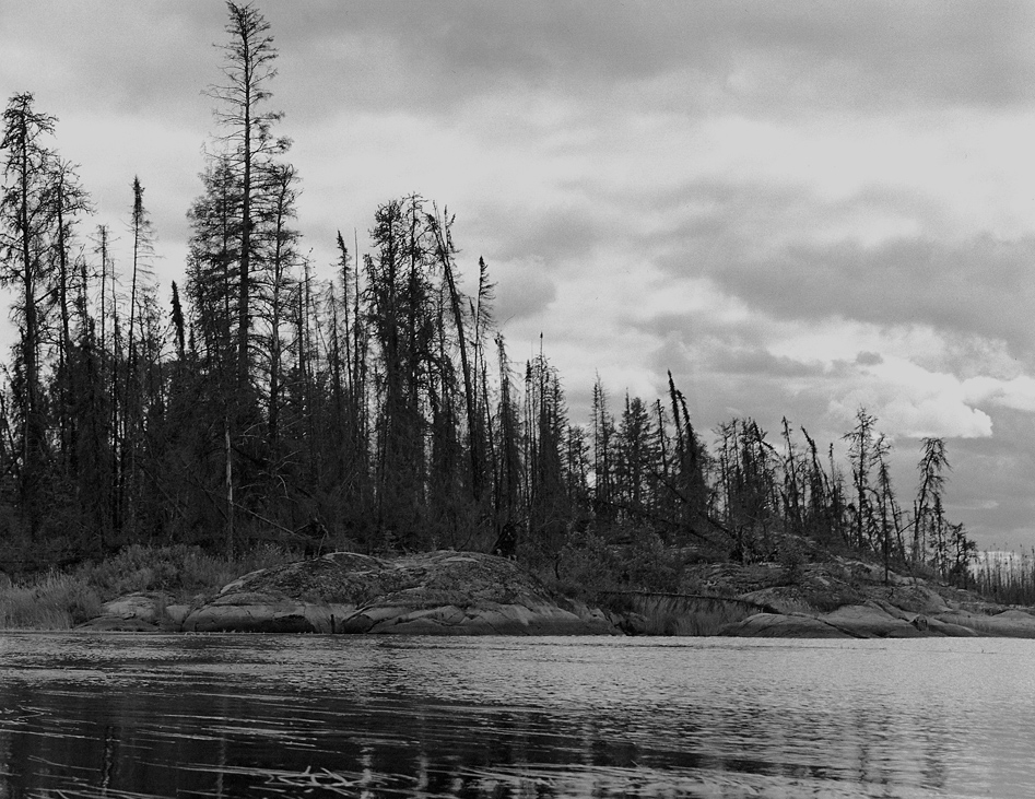 Island, Peterson Lake