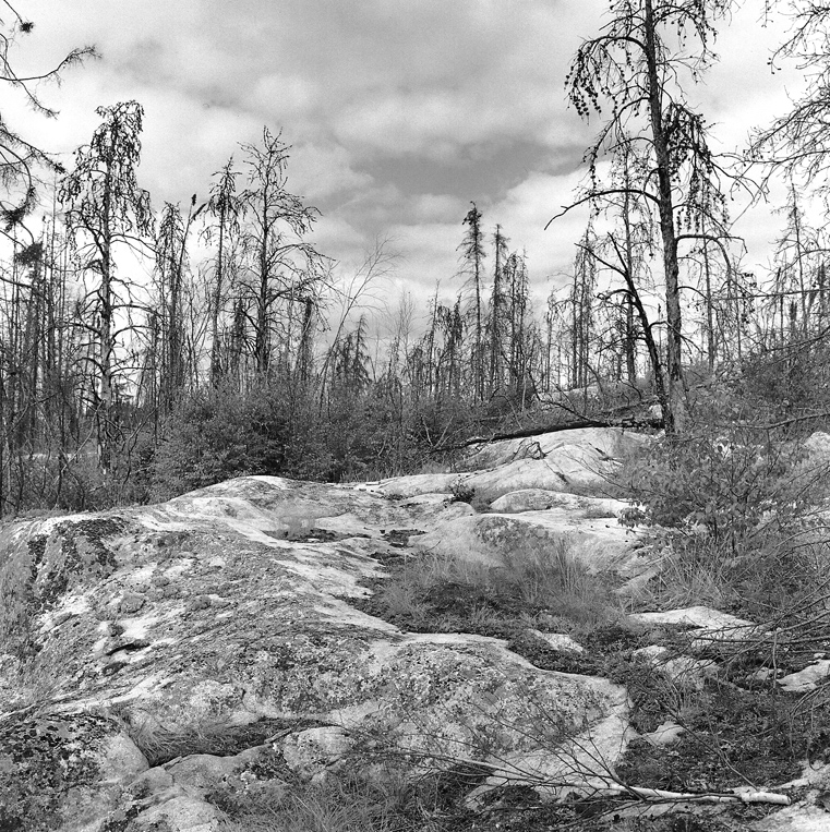 The Way Home, Peterson Lake