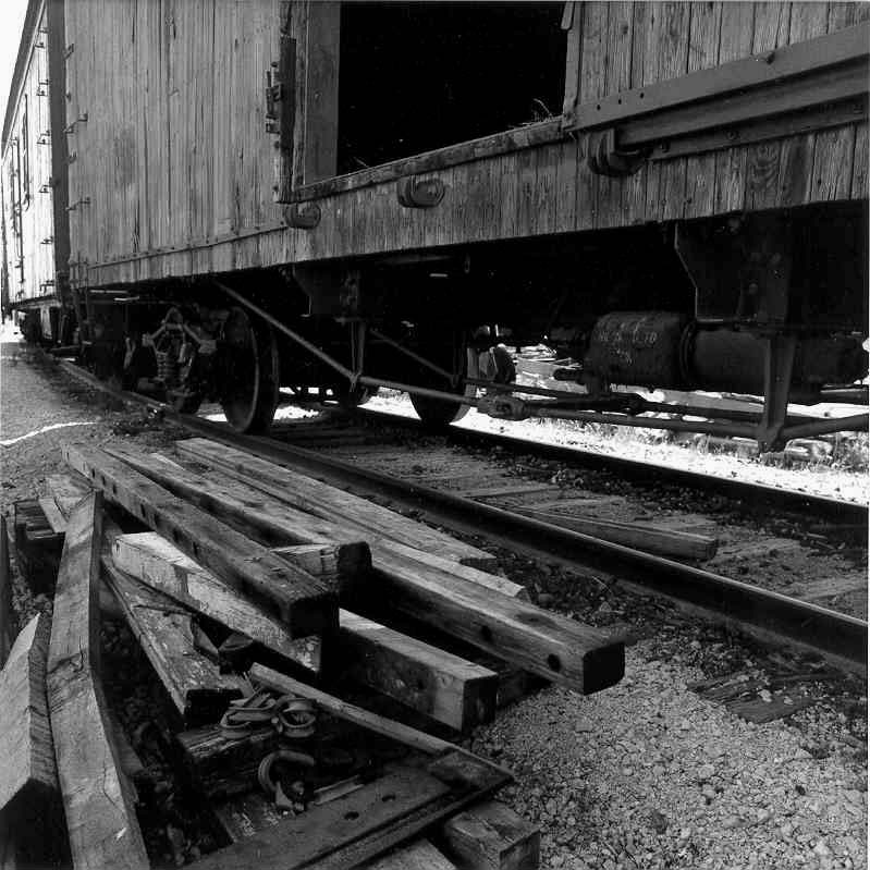 Prairie Dog boxcars