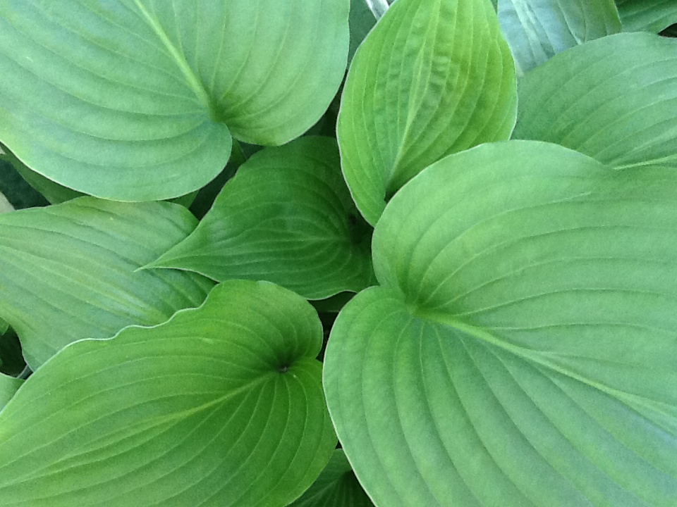 2014-06-15-17-41-58-1-1
