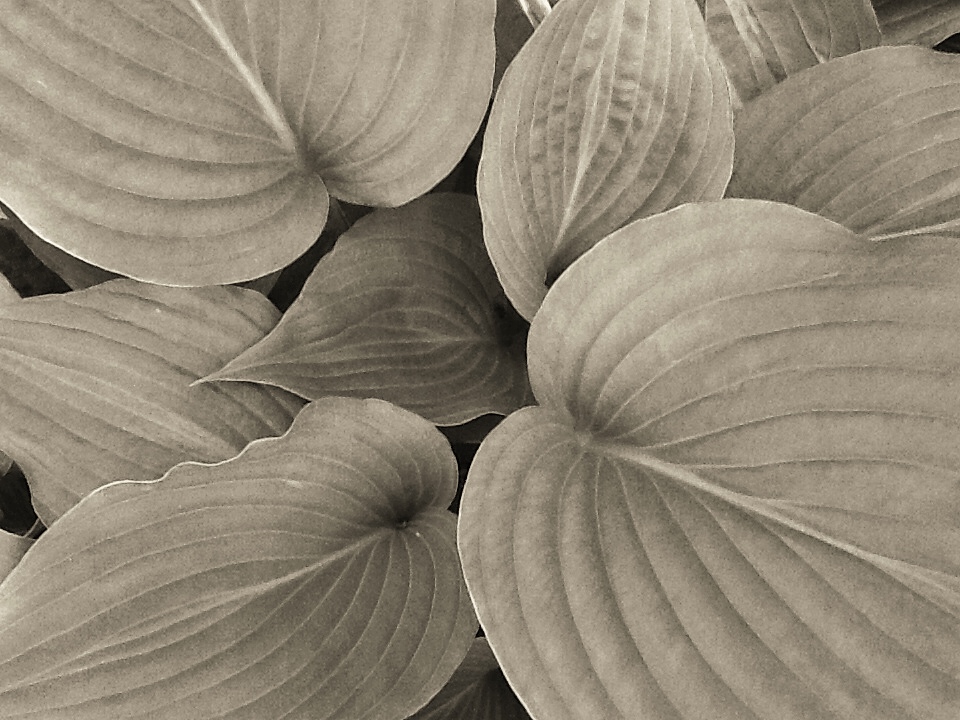 2014-06-15-17-41-58-3