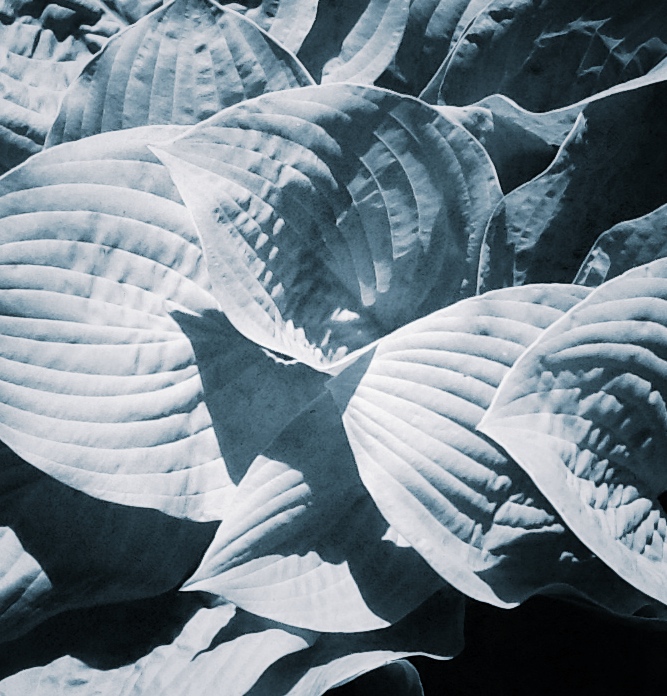2014-06-15-18-09-51-1