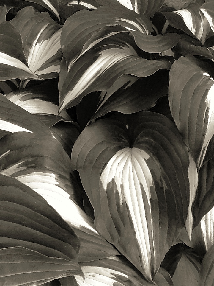 2014-06-15-19-01-21-2