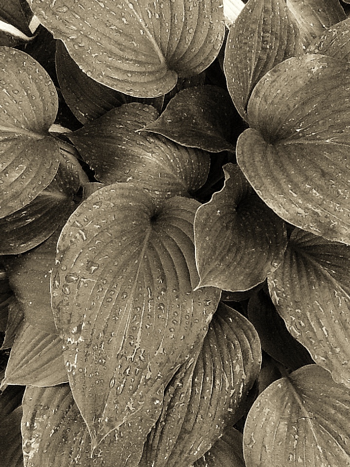 2014-06-15-19-40-35-2